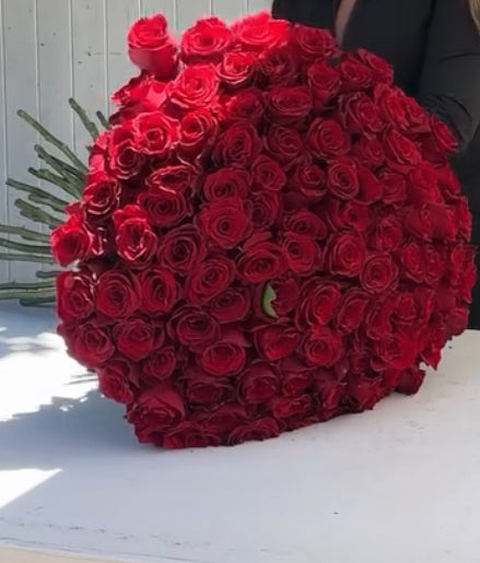 Red Rose Buchon 50 stems