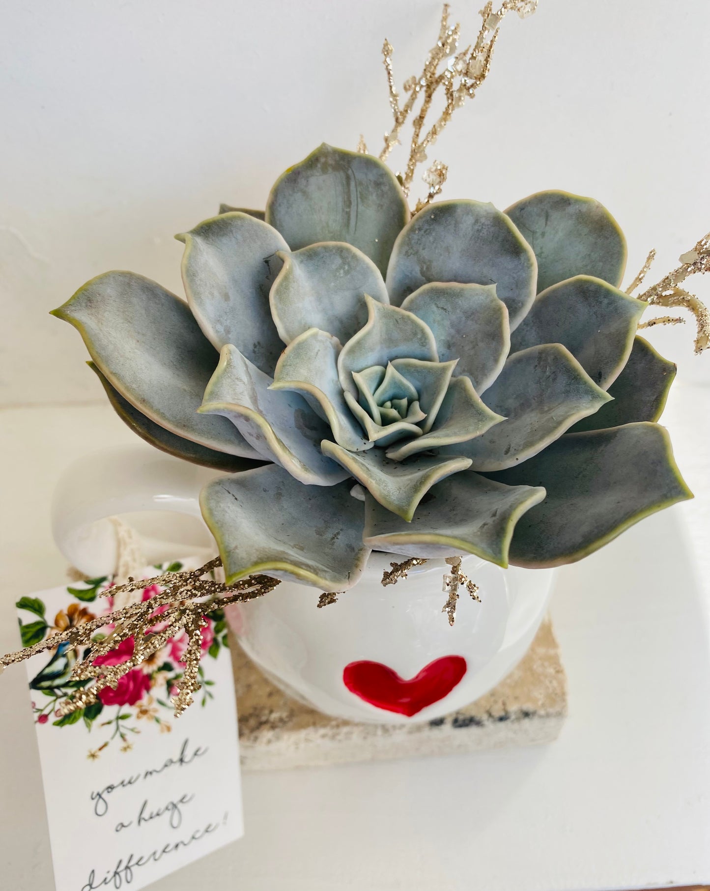 Succulent  with heart