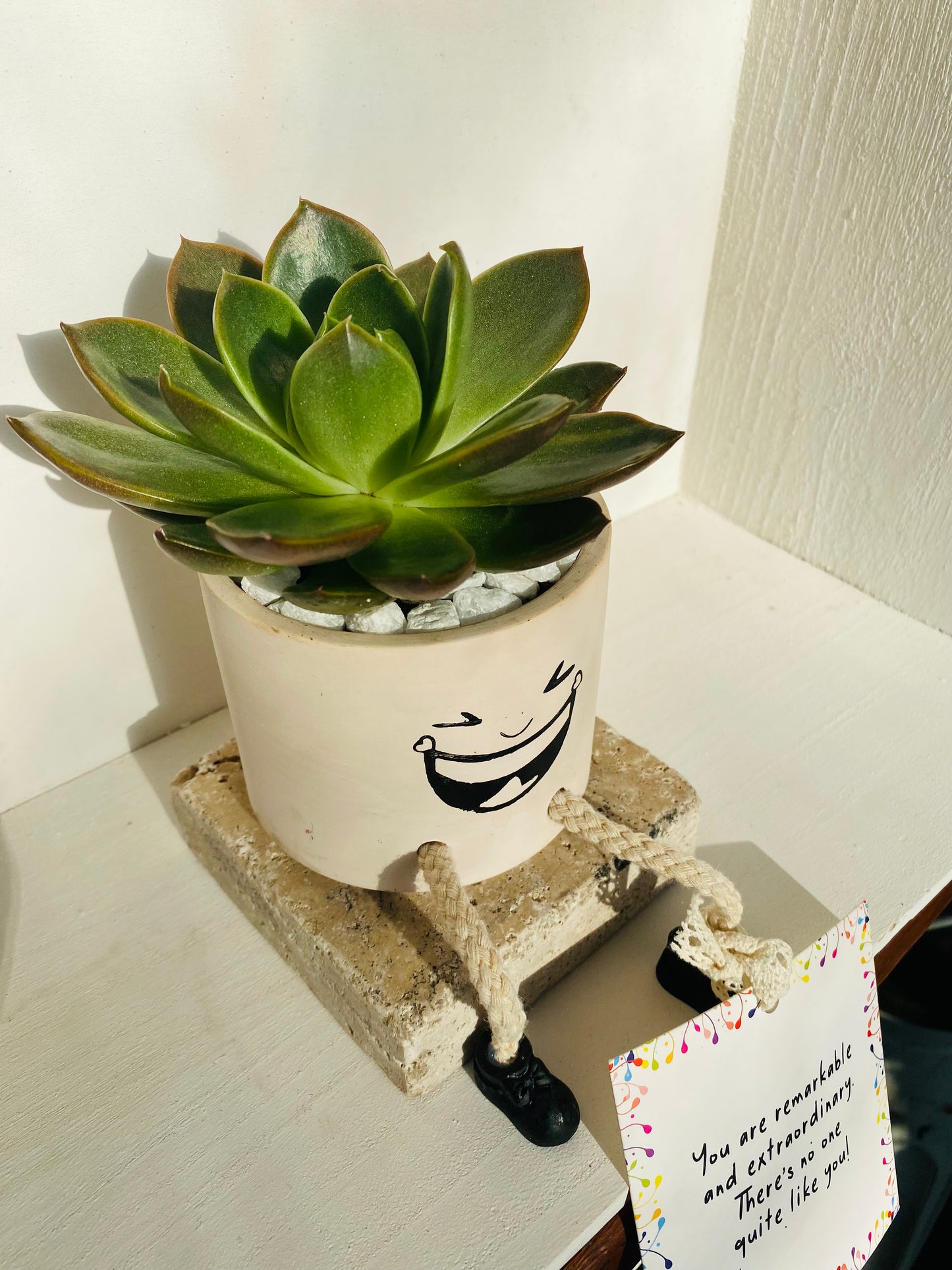 Green succulent with character face